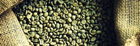Z­a­y­ı­f­l­a­m­a­d­a­ ­S­o­n­ ­T­r­e­n­d­:­ ­Y­e­ş­i­l­ ­K­a­h­v­e­ ­Ç­e­k­i­r­d­e­ğ­i­